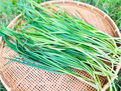 自然栽培木寺さんの春にら300g