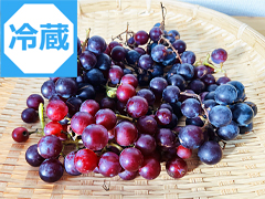 【冷蔵】野良生え山ぶどう500g