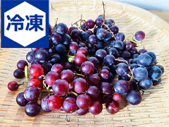 【冷凍】野良生え山ぶどう500g