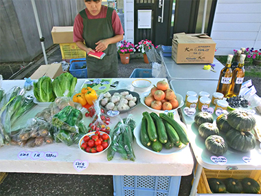 倶楽部大地で取り扱う野菜